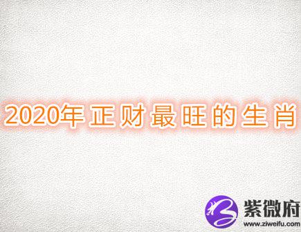  2020年正财最旺的生肖