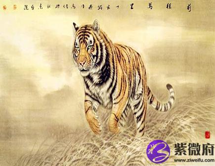 属虎人几点出生好