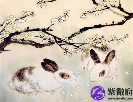 生肖兔2021年正财运如何
