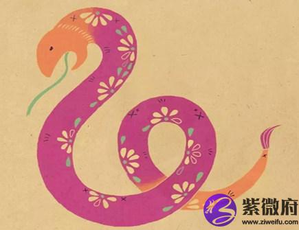 生肖蛇2021年正财运如何