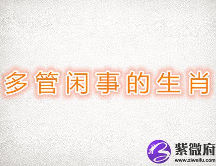 多管闲事的生肖