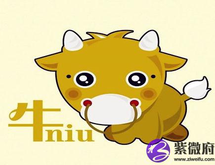 属牛人的经济意识如何