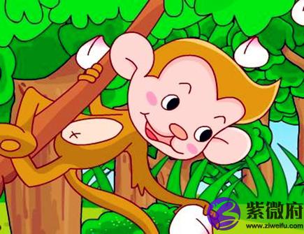 属猴人的经济意识如何
