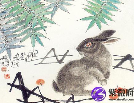属兔男2021年财运如何