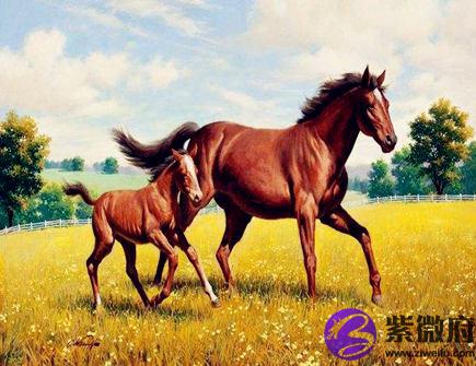 属马男2021年财运如何