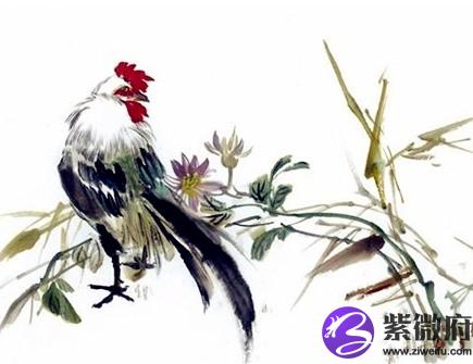 属鸡男2021年财运如何