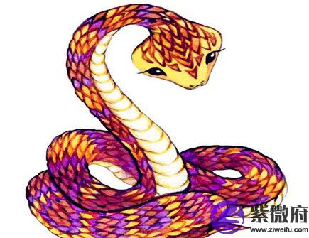 属蛇女2021年财运如何