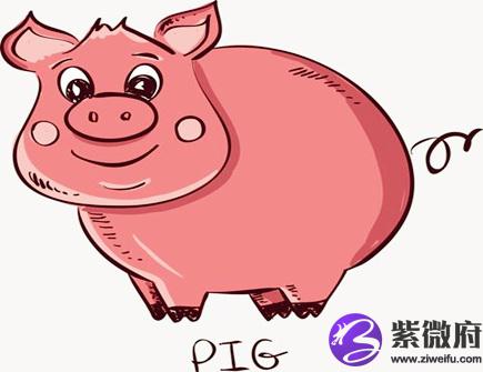 哪个月份的属猪人命最好