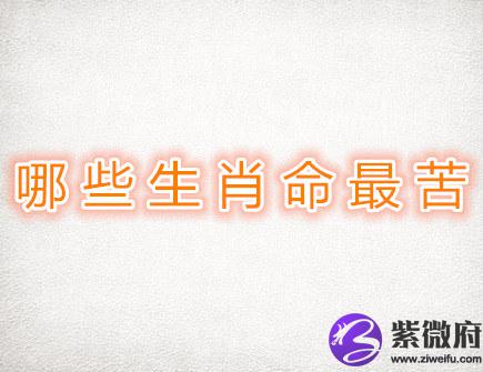 哪些生肖命最苦