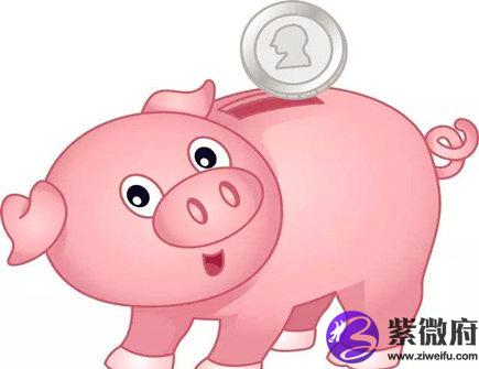 属猪人本命年结婚好不好