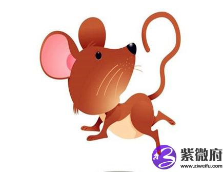 哪个月份的属鼠人命最好