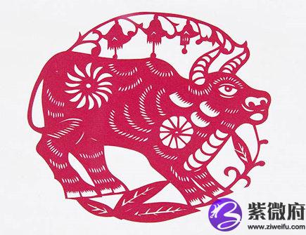 哪个月份的属牛人命最好