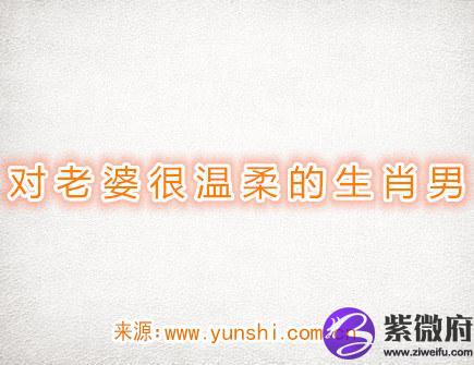 对老婆很温柔的生肖男