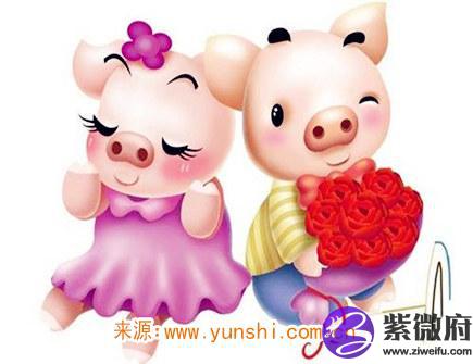 属猪人一生有几次婚姻