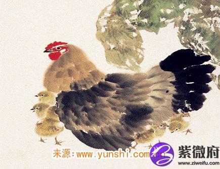 属鸡人灾难年龄