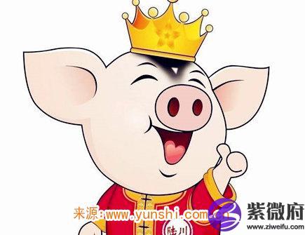 属猪人灾难年龄