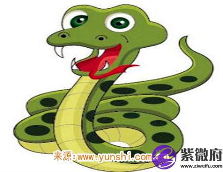 属蛇人哪年开始转运