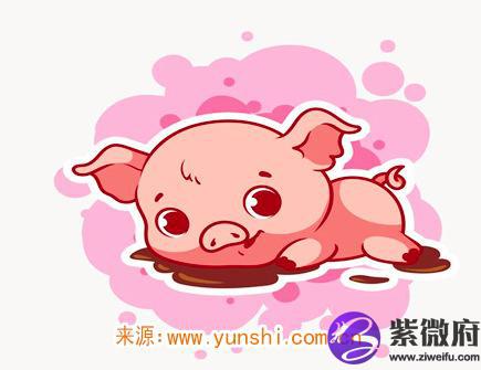 属猪人哪年开始转运