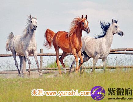 2021年属马人佩戴什么好