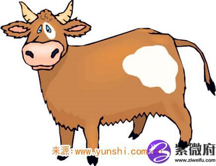2021年八月出生人的命运