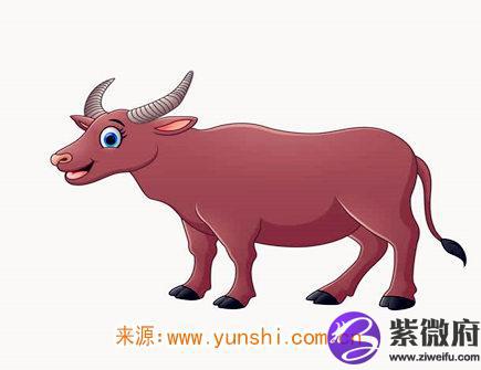 2021年十二月出生人的命运