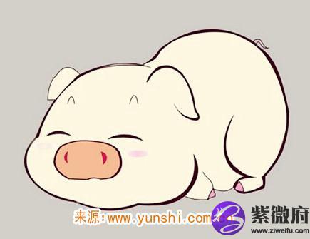 属猪女不想谈恋爱的原因
