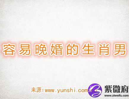 容易晚婚的生肖男