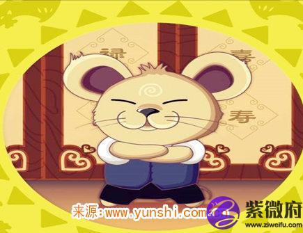 属鼠女不想谈恋爱的原因