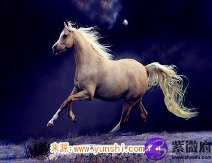 属马女不想谈恋爱的原因