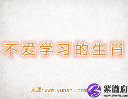 不爱学习的生肖