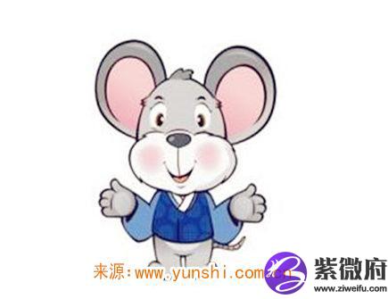 属鼠男对老婆好吗