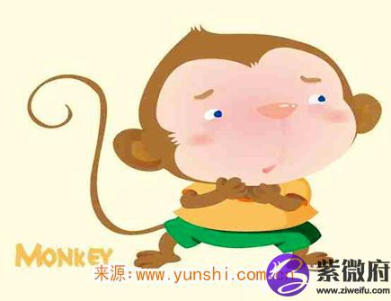 属猴男对老婆好吗
