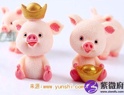 属猪男在乎一个人的表现