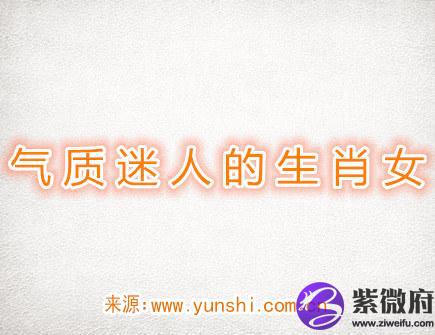 气质迷人的生肖女