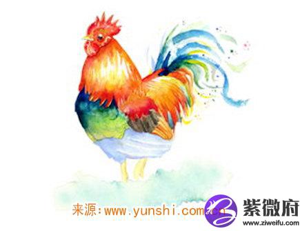 如何让属鸡男不变心