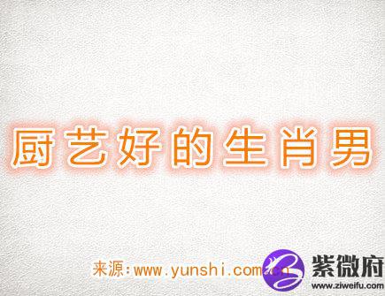 厨艺很好的生肖男