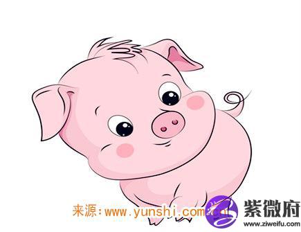属猪男生的恋爱特点
