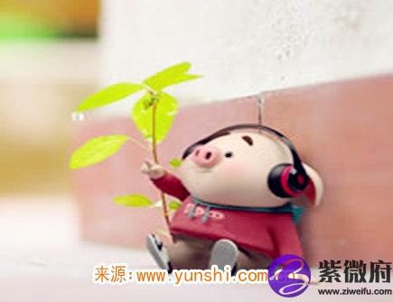 属猪女生的恋爱特点