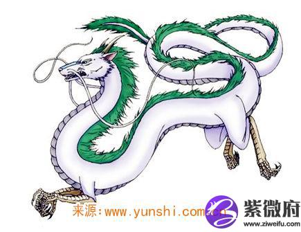 属龙的缺点有哪些