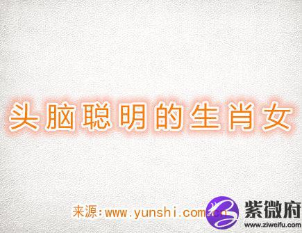 头脑.jpg
