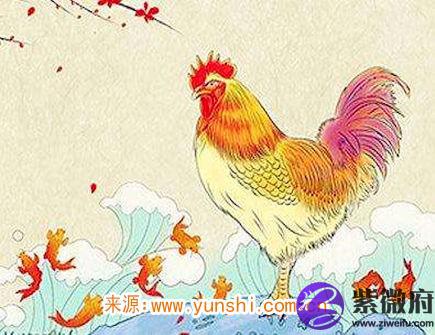 属鸡人出生时的命运