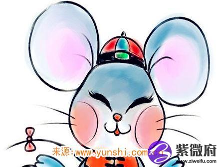 属鼠的缺点有哪些