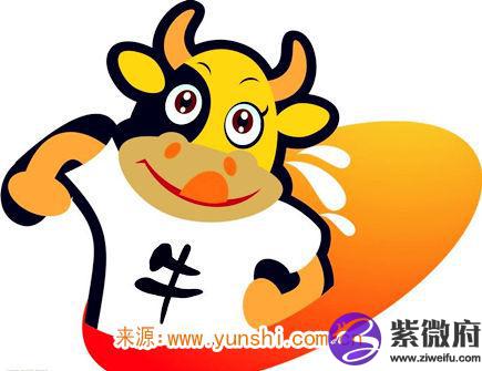 属牛的缺点有哪些