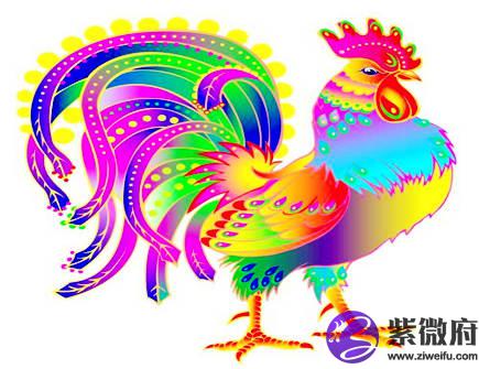 属鸡人出生日的命运