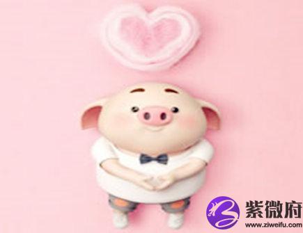 属猪人出生日的命运