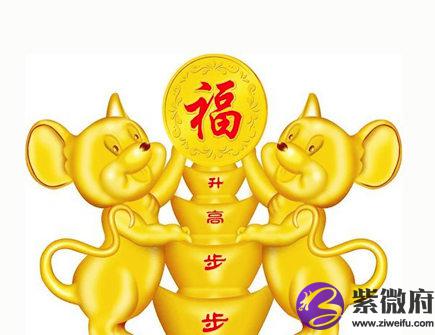 属鼠人出生时的命运