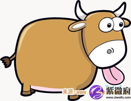 属牛人出生时的命运