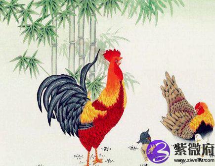 属鸡人出生月的命运