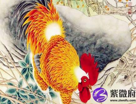属鸡女找男朋友的标准