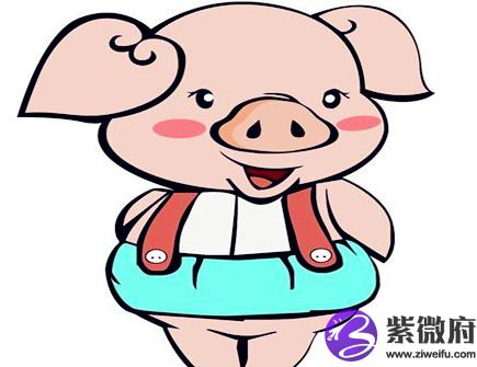 属猪女找男朋友的标准